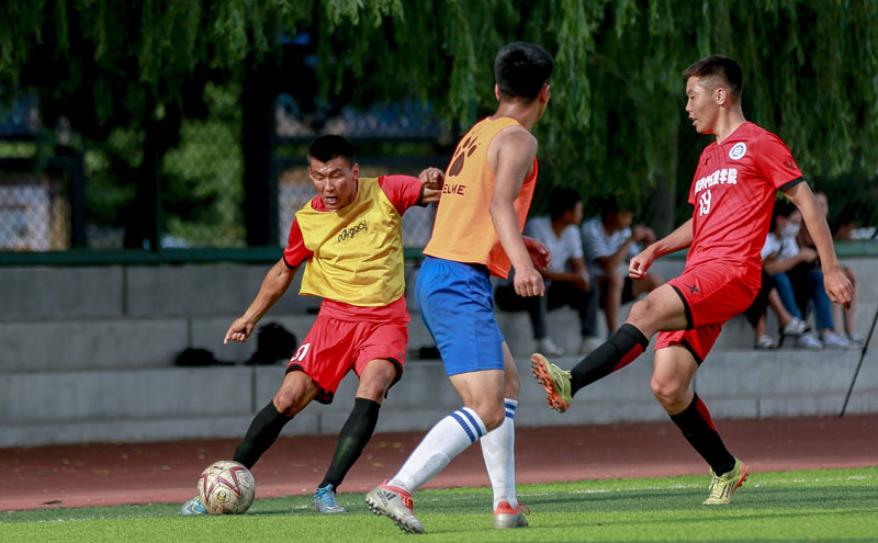 葡萄牙前锋保利尼奥：C罗改变了葡萄牙足球；我想踢世界杯